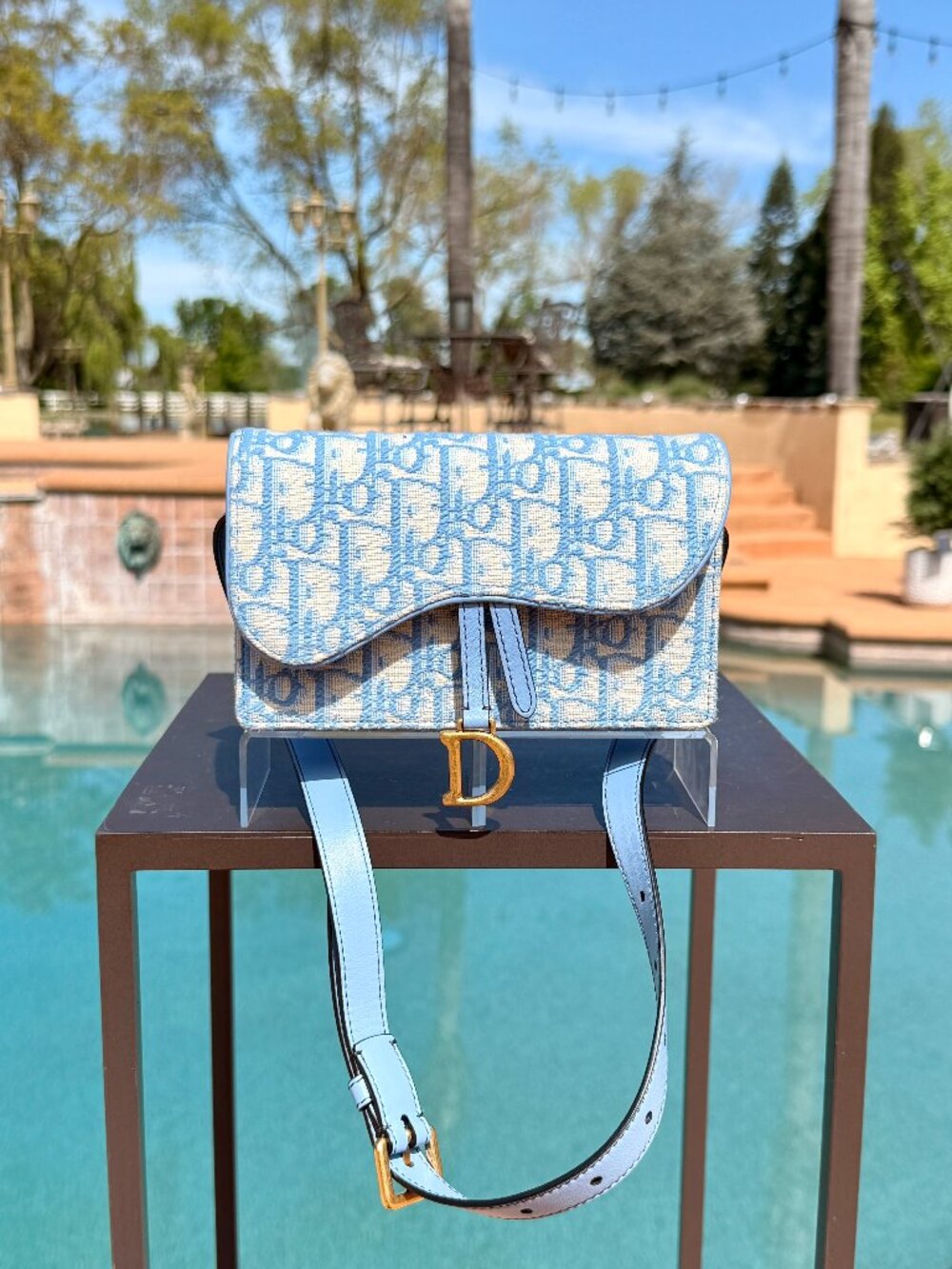Christian Dior Mini Belt Bag with Gold Hardware